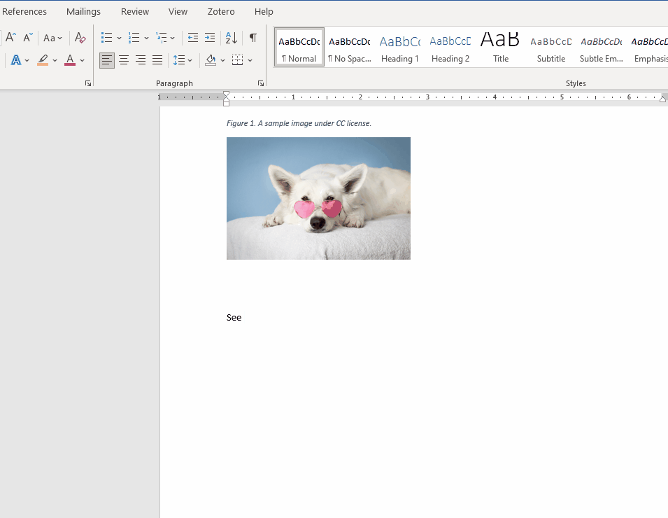 A screenshot of a computer